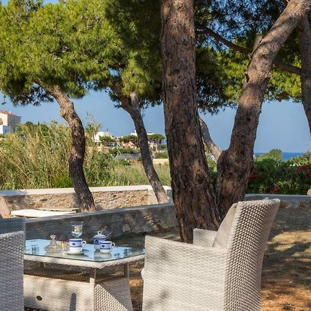 Dellagracia Mansion In Poseidonia Syros Villa Posidhonia  Bagian luar foto