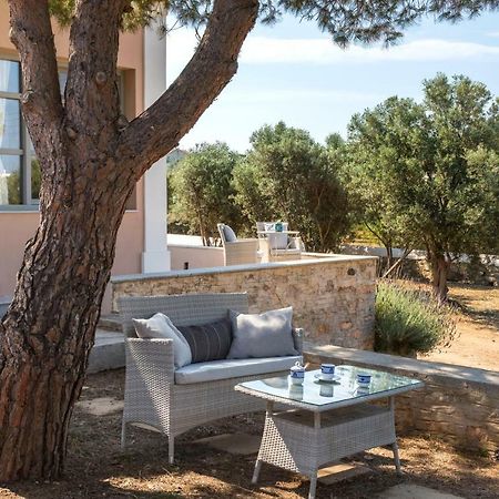 Dellagracia Mansion In Poseidonia Syros Villa Posidhonia  Bagian luar foto