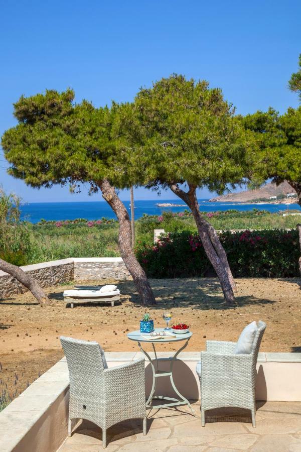 Dellagracia Mansion In Poseidonia Syros Villa Posidhonia  Bagian luar foto